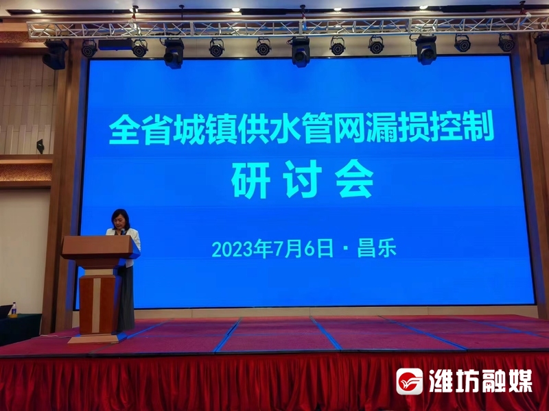 城市供水管网漏损大揭秘:你不知道的背后故事!(图1)
